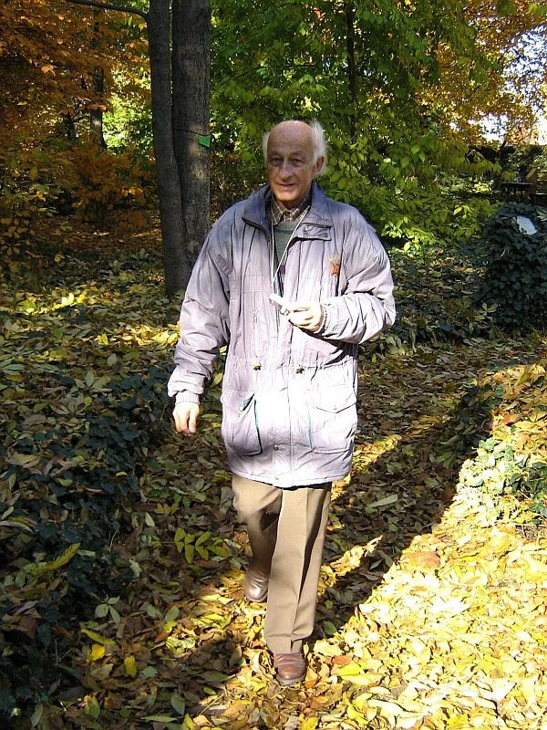 t5