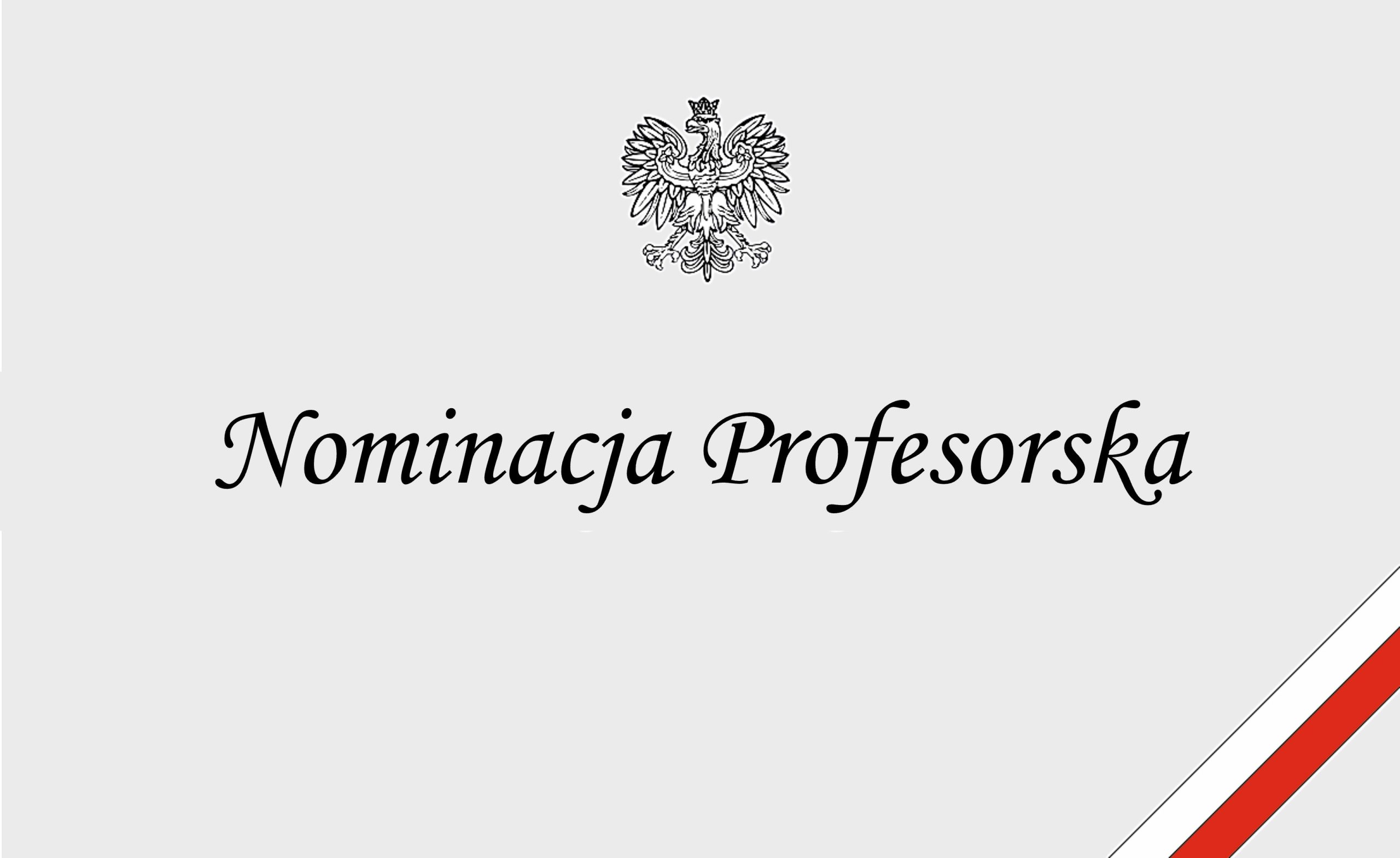 nominacja 2